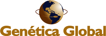 Genética Global
